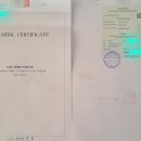 푸른공인번역행정사 이미지