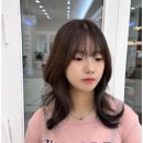 둥지미용실 - 정읍시 | 둥지미용실