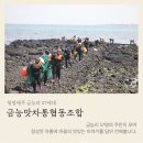 금능맛차롱 이미지