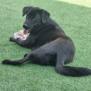 45GYM 산본점 | [산본]산본사거리PT 바른자세&amp; 체형개선으로 만족감 200%/회원님 바디프로필후기/운동꿀팁