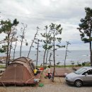 땅끝황토 이미지