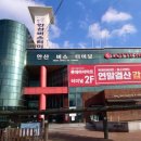 별망초앞 이미지