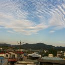 모동모동 이미지