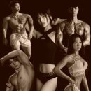 세하헬스 이미지