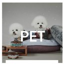 비오비(BOB) 이미지