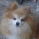 두리공방 이미지