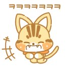 아비꼬압구정역점