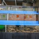 놀자대게 이미지