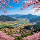 금수강산 이미지