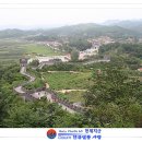 만리장성 Daum카페