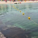 용화목욕탕 이미지