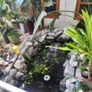 물꽁오리 | 인천 경인교대입구역 점심 물꽁 오리 평일 막걸리 후기