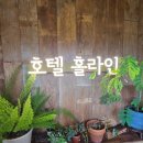 호텔홀라인 평대 | [제주/구좌 숙소추천] 제주 동쪽 낭만적인 오두막 펜션; 호텔홀라인 평대점 후기