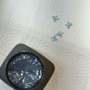 리본아트 | 평택역 네일 네일나드리 새해아트 후기, 하늘색 리본 진주 네일