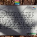 시골정 이미지