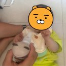 오토챔프 - 안산시 단원구 광덕3로 249 | [내돈내산 구딩 메쉬넵베어 휴대용 네블라이저 후기] 네블라이저 추천/ 구딩 메쉬넵베어 네블라이저...