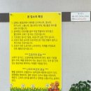 평창도토리칼국수 이미지