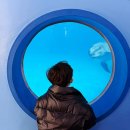 울산 장생포고래박물관 | 울산 장생포 고래박물관 &amp; 고래생태체험관 후기 - 아이와 다시 찾은 그곳