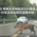 지린성 - 25315 | 지린성
