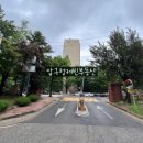 압구정-116 이미지