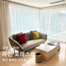 솔향대가방 | 강원 정선 파인포레스트 정선알파인리조트 디럭스 스위트룸 내돈내산 꼼꼼리뷰