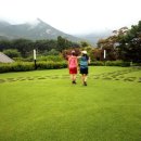 청담골 Daum카페