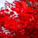 존재의 무게 이미지