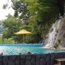 숲속의 계곡 이미지