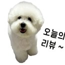 곱이곱다 - 청주시 청원구 1순환로 152 | 곱이곱다