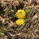 함평자연생태공원 이미지