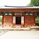 도림사 Daum카페