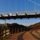 포천한탄강하늘다리 이미지