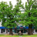 화순군청 이미지