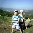 현성목장 이미지