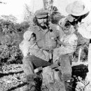 팔형제 농장 이미지