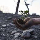 송선로-6 이미지