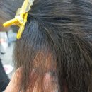 비쥬헤어 이미지