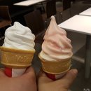 맛보는날 네이버블로그