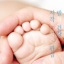 풋젠 네이버블로그