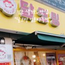 사우로 R 이미지