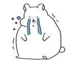 디.벨르네일