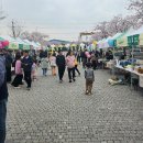 장터야채 이미지