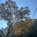 우돈제주생고기 | 10/16 포천 백운산 탐사 산행