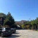 용인 고기리 뷰 좋은 베이커리카페,몽르베,아침 일찍 여는 카페,뷰맛집 내돈내산 N번째 방문후기