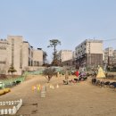 펫츠하우스 | 일산 애견동반 대형카페, 피터펫츠 내유점 애견운동장 대형견 후기