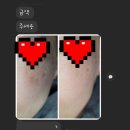 리얼핏 이미지