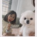 리하이브 이미지