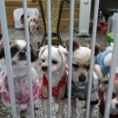 명동장여관 이미지