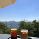 더 숲Ⅰ 이미지