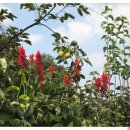 놀부농장 이미지